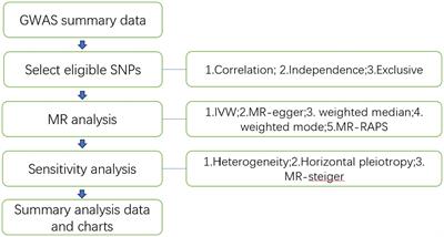 The causal relationship between gut microbiota and leukemia: a two-sample Mendelian randomization study